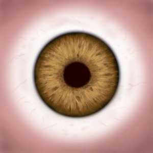 FREE 3D TEXTURES