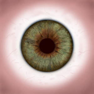 FREE 3D TEXTURES