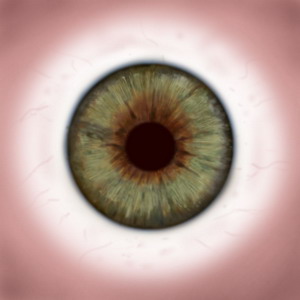 FREE 3D TEXTURES