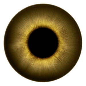 FREE 3D TEXTURES