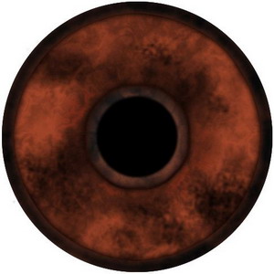 FREE 3D TEXTURES