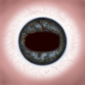 FREE 3D TEXTURES