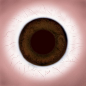 FREE 3D TEXTURES