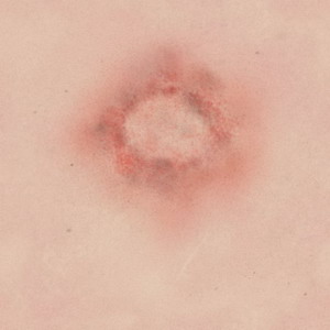 FREE 3D TEXTURES
