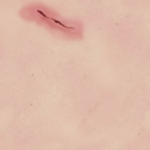 FREE 3D TEXTURES