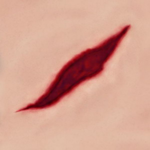 FREE 3D TEXTURES