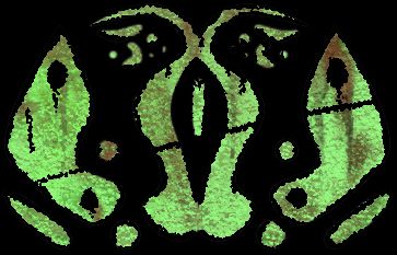 FREE 3D TEXTURES