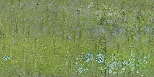 3D TEXTURES
