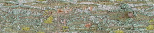3D TEXTURES