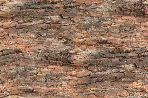 3D TEXTURES