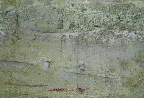 3D TEXTURES