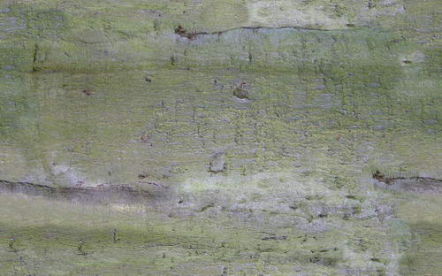 3D TEXTURES