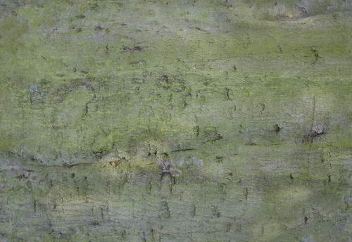 3D TEXTURES