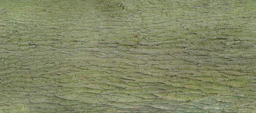 3D TEXTURES