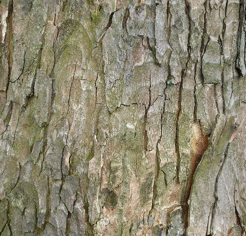 3D TEXTURES