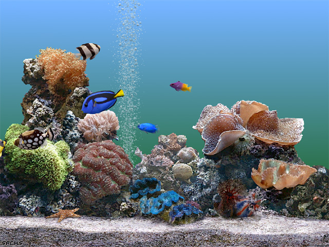 fish jars 5