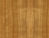 Classicals Collections Of Woods  002(TIF File Types)