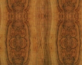 Classicals Collections Of Woods  007(TIF File Types)
