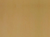 Classicals Collections Of Woods  008(TIF File Types)