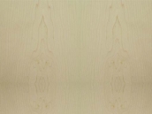 Classicals Collections Of Woods  009(TIF File Types)
