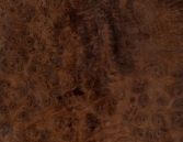 Classicals Collections Of Woods  012(TIF File Types)