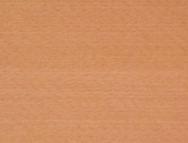 Classicals Collections Of Woods  013(TIF File Types)