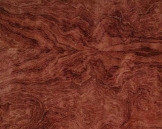 Classicals Collections Of Woods  014(TIF File Types)