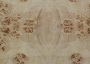 Classicals-Wood018(TIF File Types)