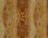Classicals-Wood019(TIF File Types)