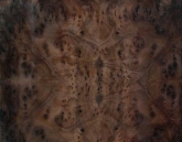 Classicals-Wood029(TIF File Types)
