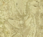 Classical s Collections Of Stone/Beige Stones 001