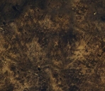 Exquisites Series2-City Background120