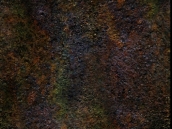 New Fines   s14-Metal 65