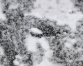 New Fines   s15-Ice And Snow 53