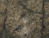 New Fines   s16-Beton43