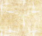 New Fines   s29-Abstracts 31