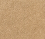Fine 3D Texture Collections 40-Leather 43