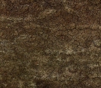 Fine 3D Texture Collections 44-Desert And Wasteland 30