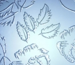 Art Glasss