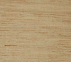 Carpet 11