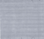 Carpet 53