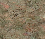 Bark 14