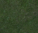 Ground 15