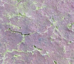 Other Texture 20-50