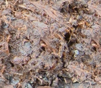 Other Texture 21-50