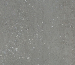 Ground 41