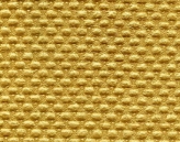 Gold foil