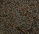 Nature of the brown series-25