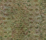 Nature of the green series-22