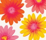 the wallpaper 1-25